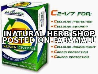 AIM GLOBAL PRODUCT ALLIANCE IN MOTION GLOBAL PRODUCT C24/7 — 2