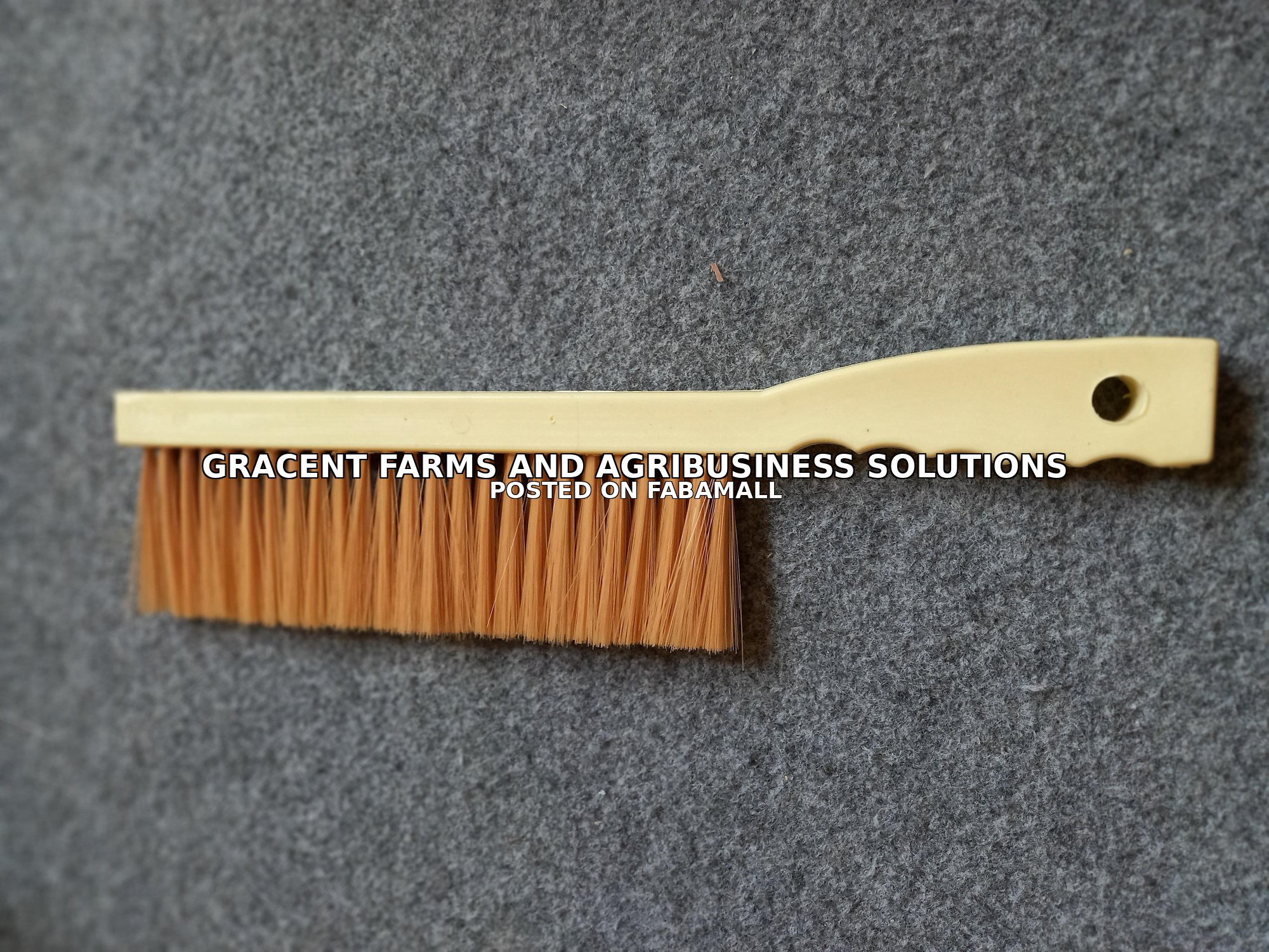 Beekeepers' brush — 1
