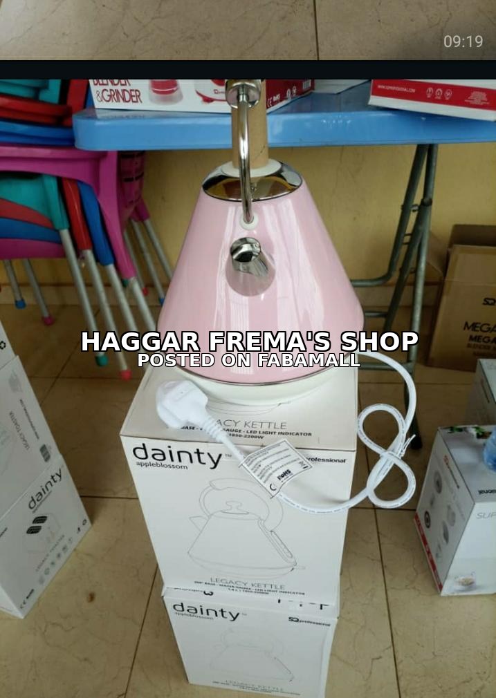 Dainty Legacy Electric Kettle — 1