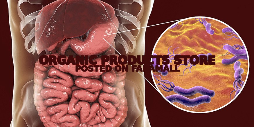 H Pylori Ulcer Remedy — 1