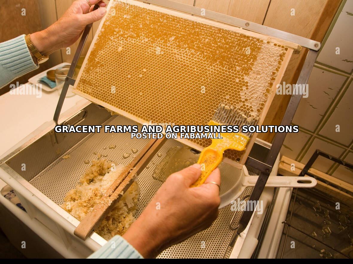 Honeycomb uncapping brush in Ghana — 4