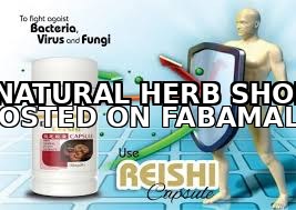 Reishi Capsule: Boost Your Immunity Naturally — 2
