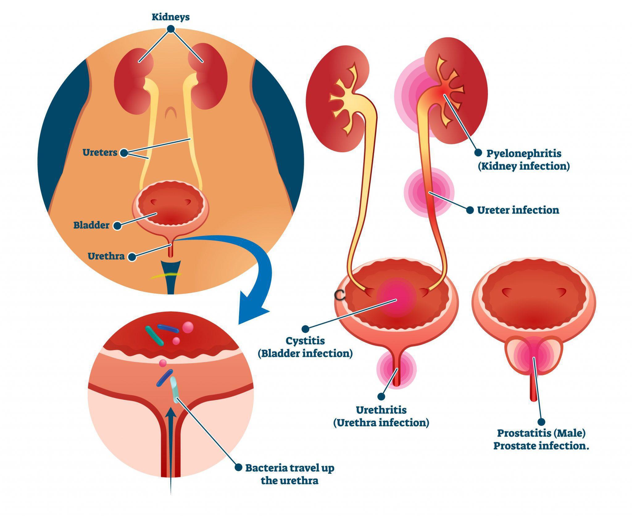 Wintown Wellness cover