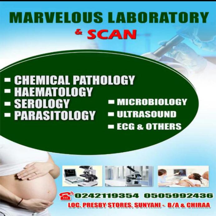 Marvelous Laboratory & Scan cover