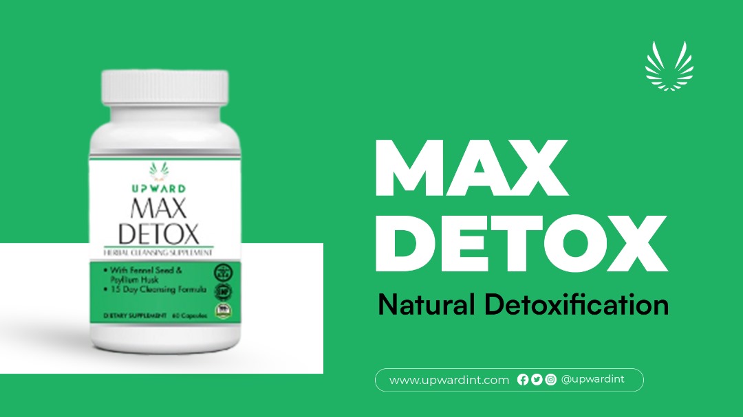 Upward International Mlm cover