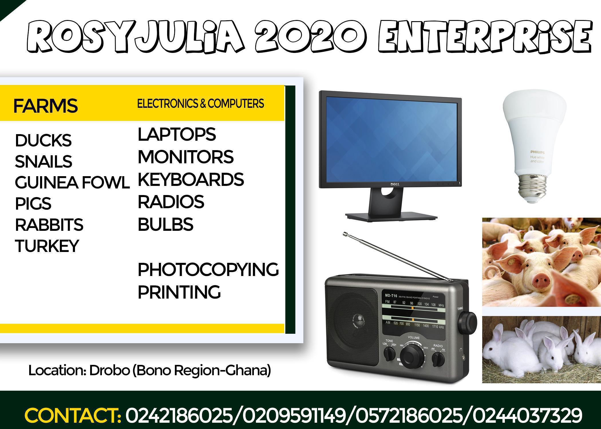 ROSYJULIA 2020 ENTERPRISE
