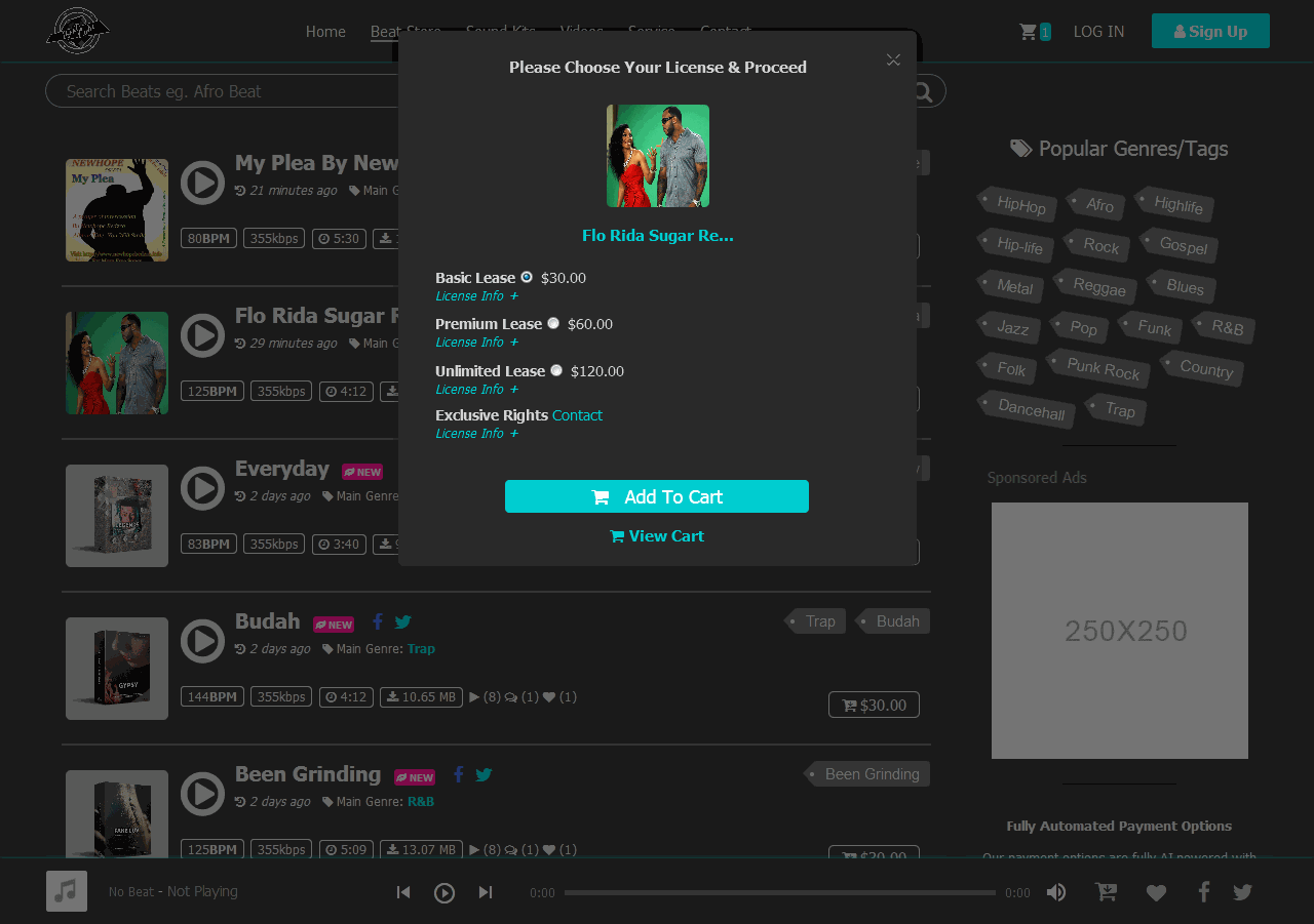 Get Your Beat Selling Website Now image