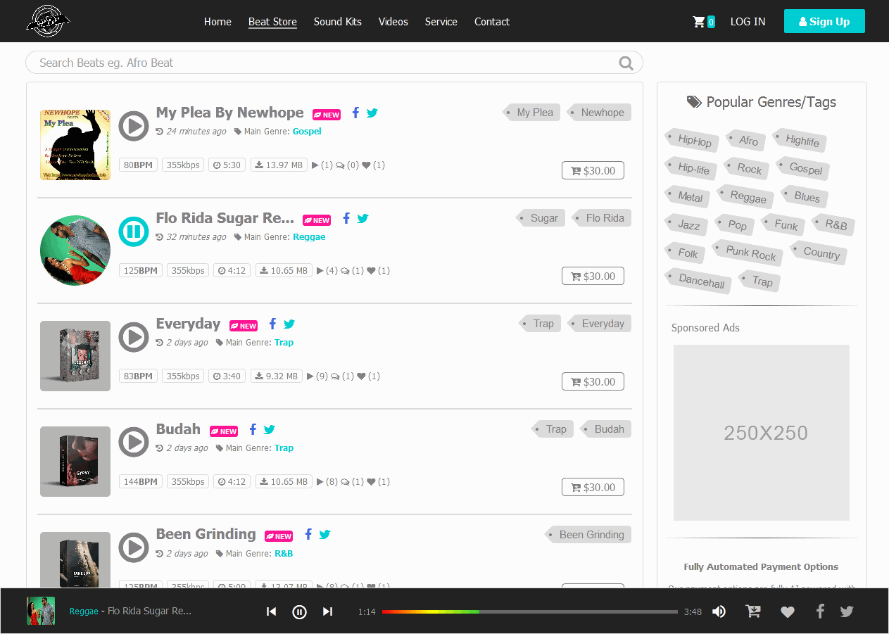 Get Your Beat Selling Website Now image