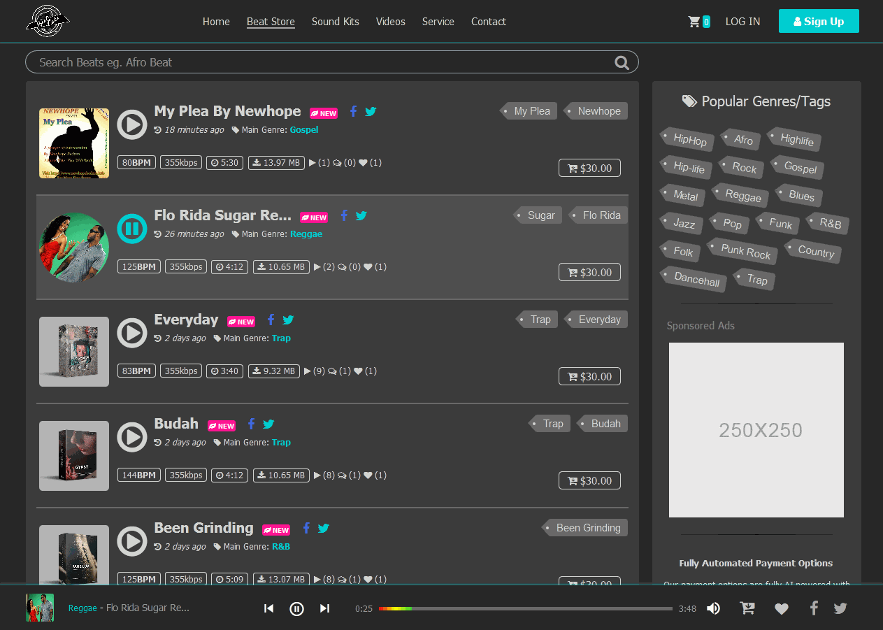 Get Your Beat Selling Website Now image