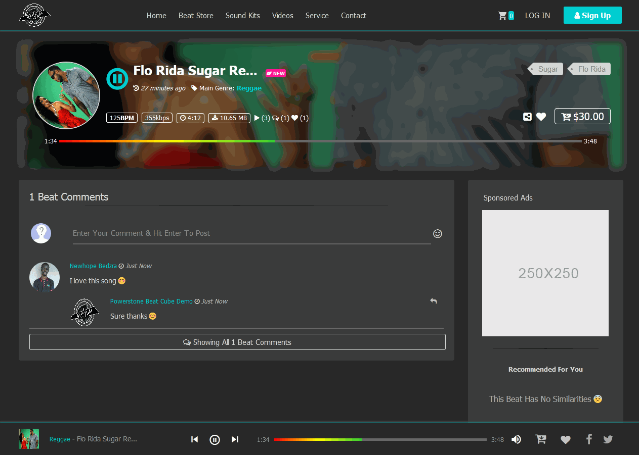 Get Your Beat Selling Website Now image