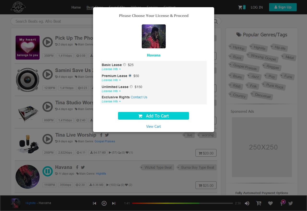 Get Your Beat Selling Website Now image