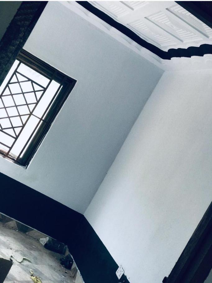 Full house painting-Drobo image