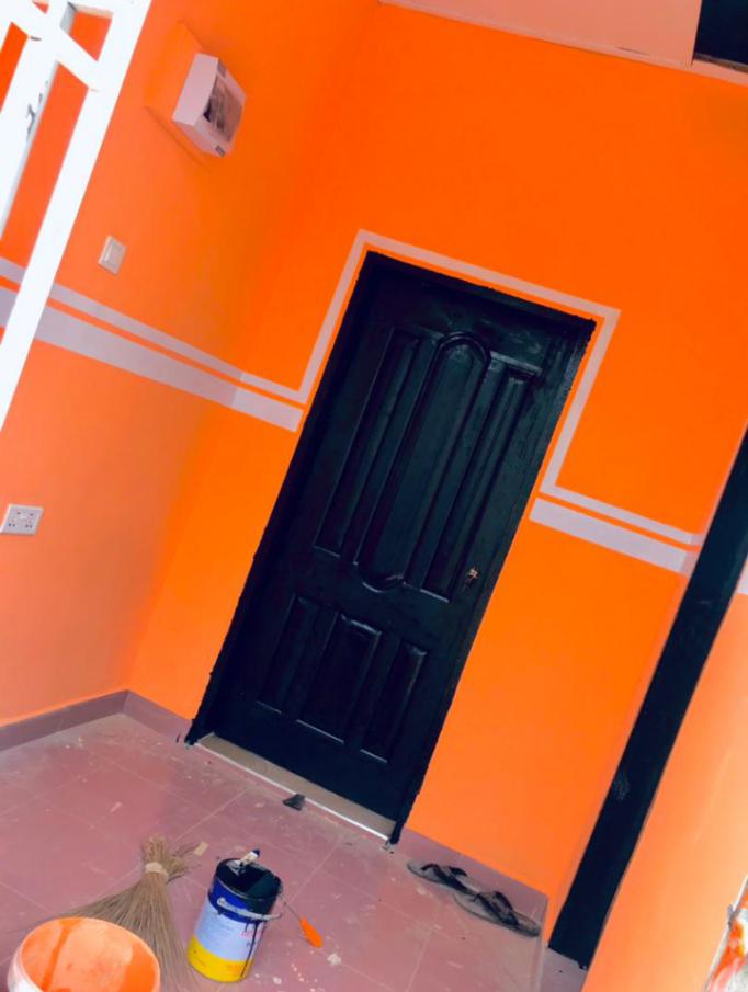 Full house painting-Drobo image