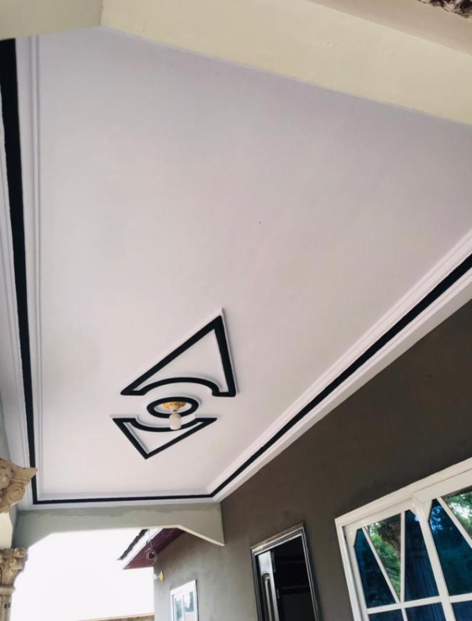 Full house painting-Drobo image