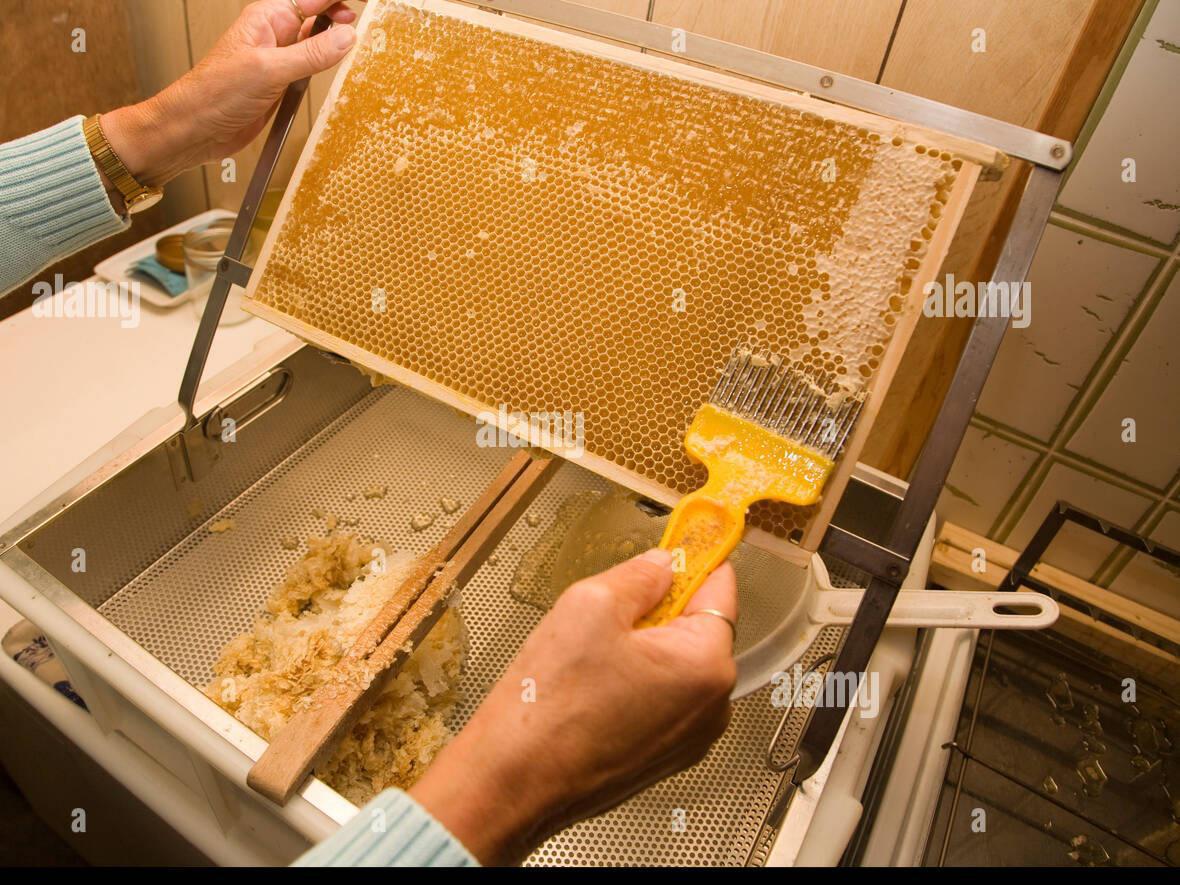 Honeycomb uncapping brush in Ghana image