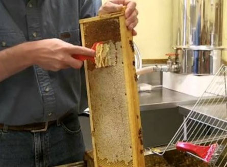 Honeycomb uncapping brush in Ghana image