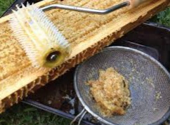 Honeycomb uncapping roller image