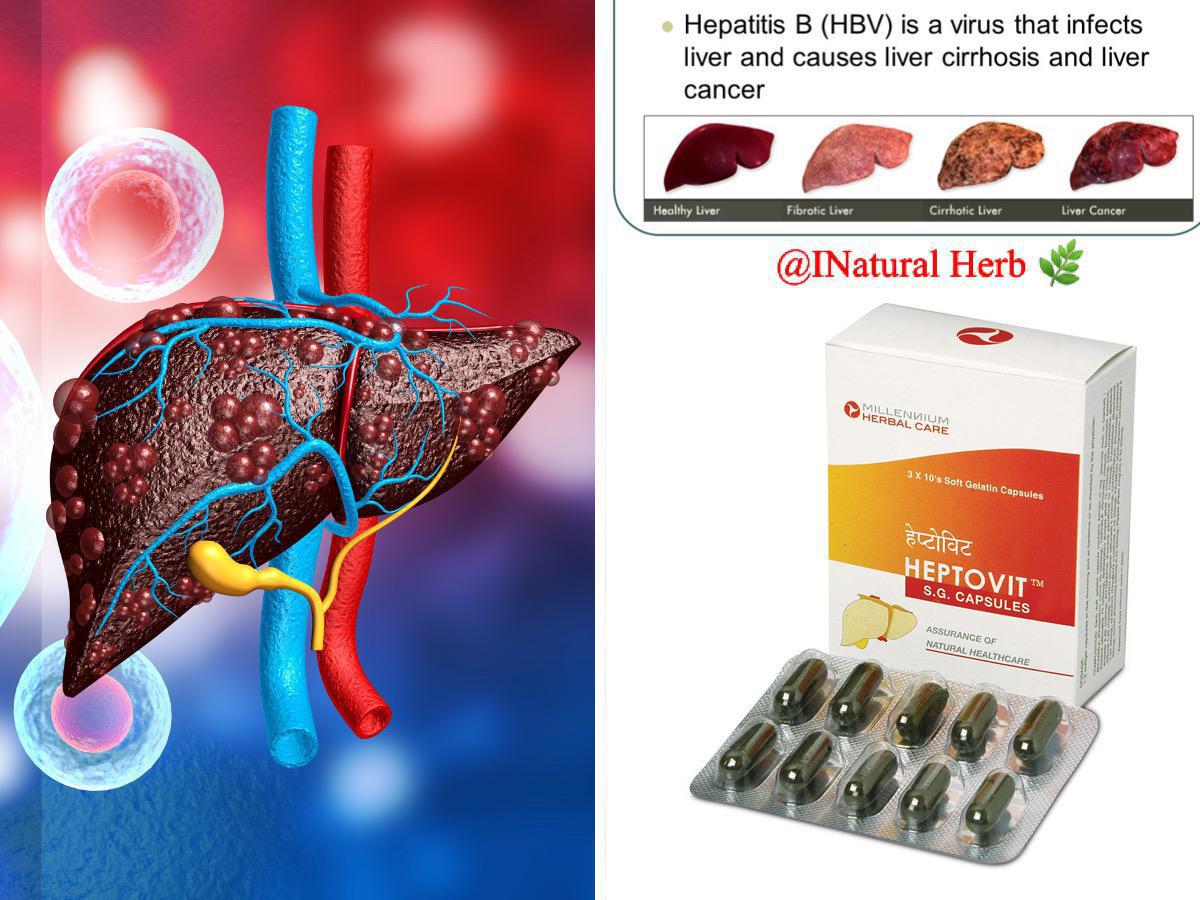 Liver Health Supplements | Shop Now image