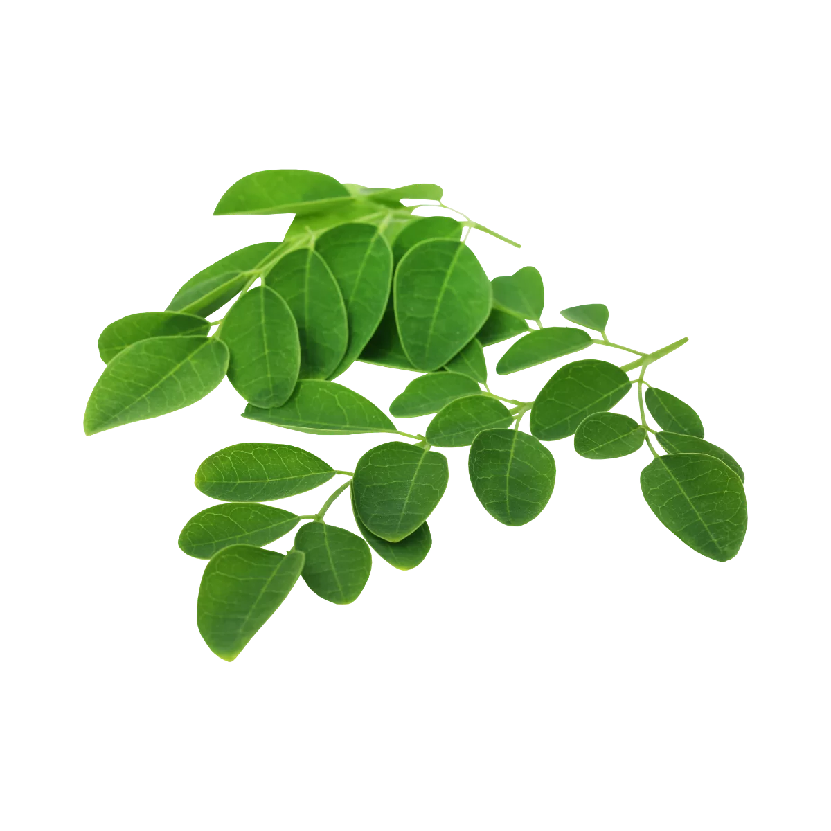 AlphaMax M+ Coffee | Supports prostate health, increase libido, boost image