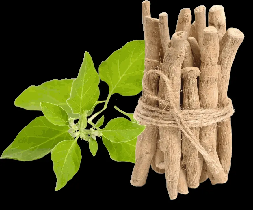 AlphaMax M+ Coffee | Supports prostate health, increase libido, boost image