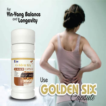 Golden Six Capsule : Protect Your Kidneys and Liver Naturally image