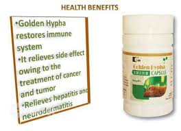 Shop Vitamins &amp; Supplements | INatural Herb image