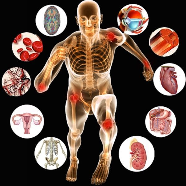 Golden Six Capsule : Protect Your Kidneys and Liver Naturally image