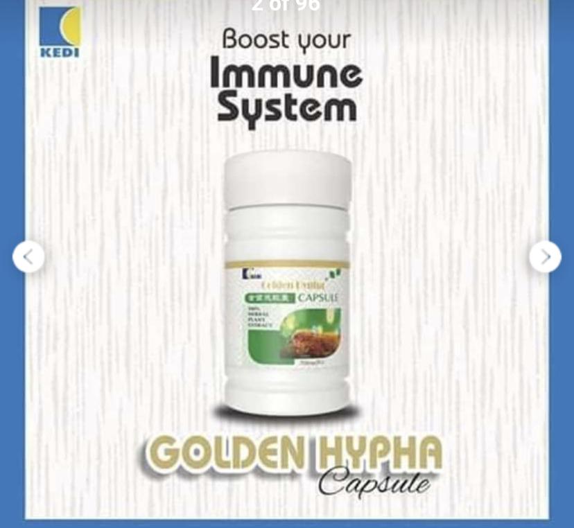 Strengthen your Immune System with Kedi Golden Hypha supplement image