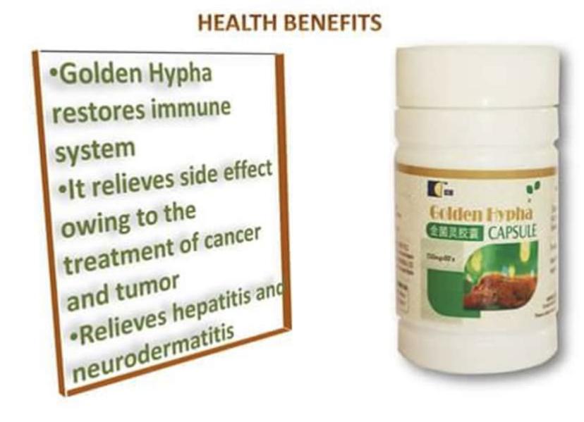 BEST IMMUNE SUPPORT image