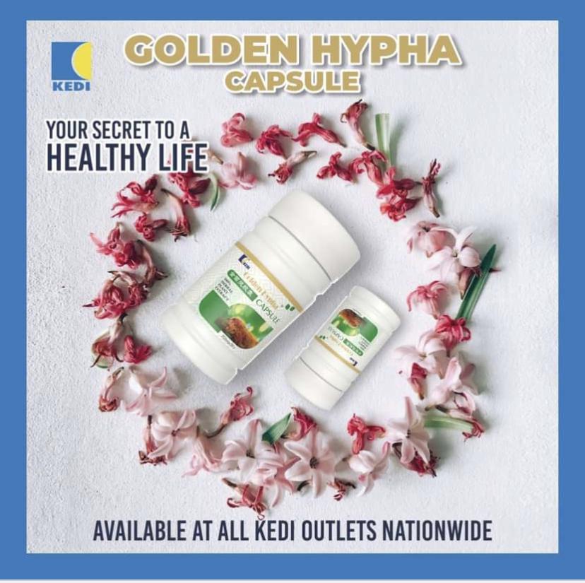 BEST IMMUNE SUPPORT image