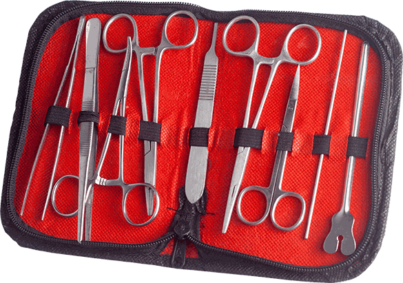 Lifetech Absorbant Gauze Roll in Ghana image