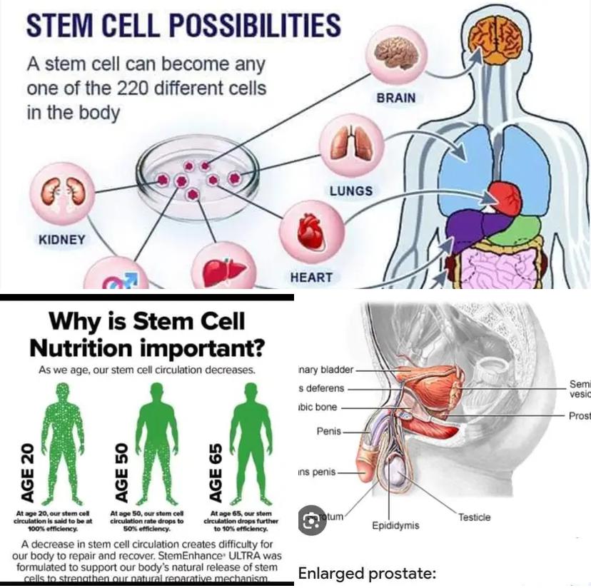 Dynace Rocenta at best price in Ghana image