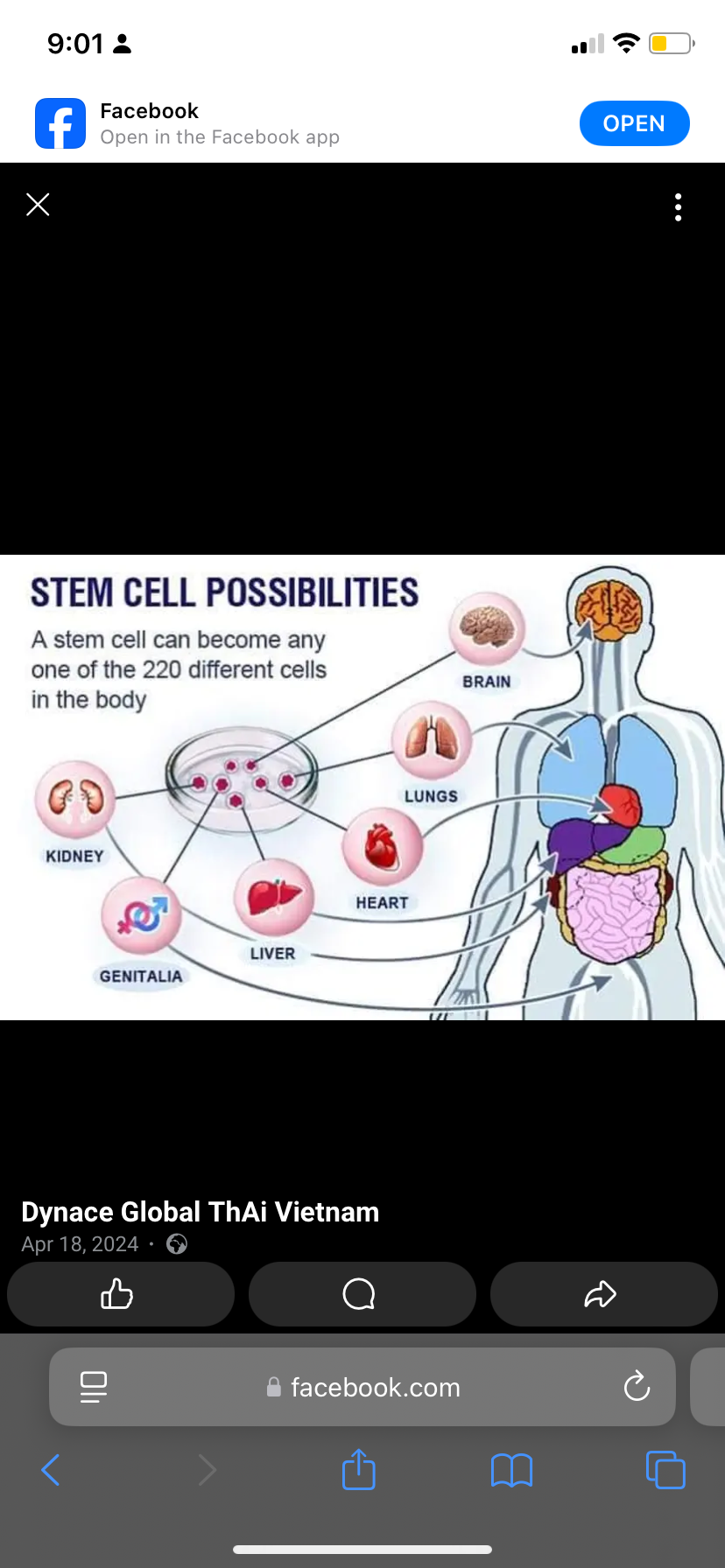 Dynace Rocenta at best price in Ghana image