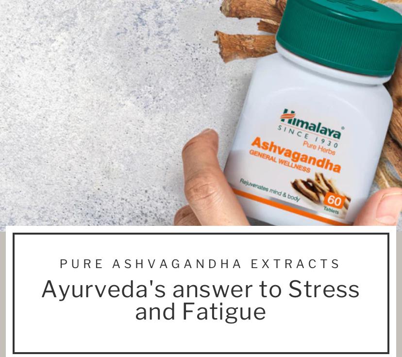 Helps Reduce Stress and Rejuvenate the Mind and Body image