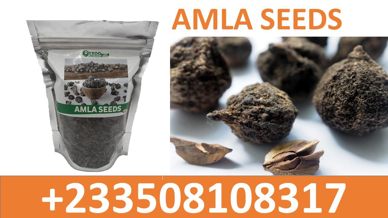 Amla seeds image