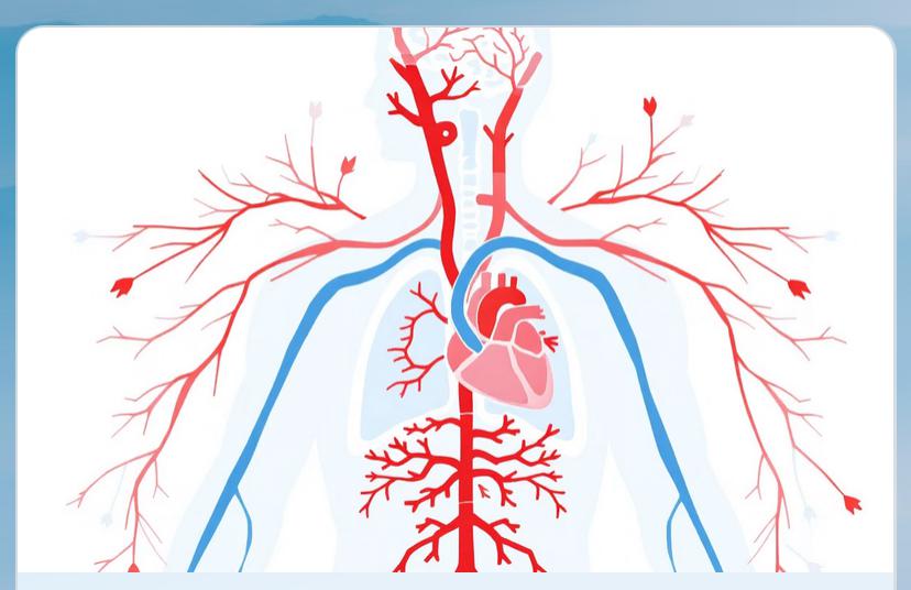 Unlock Peak Intimacy with KEDI REVIVE CAPSULES For Men image