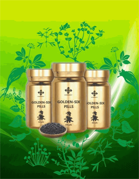 Shineway Golden Six Pills: Correcting Several Health Challenges image