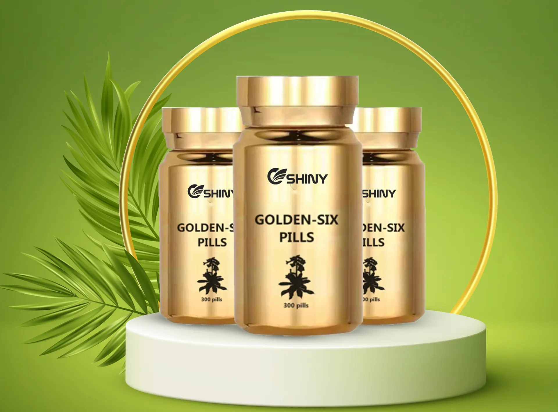 Shineway Golden Six Pills: Correcting Several Health Challenges image