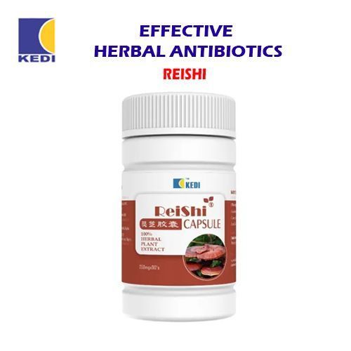 Kedi Herbal Solution For Chronic Asthma image