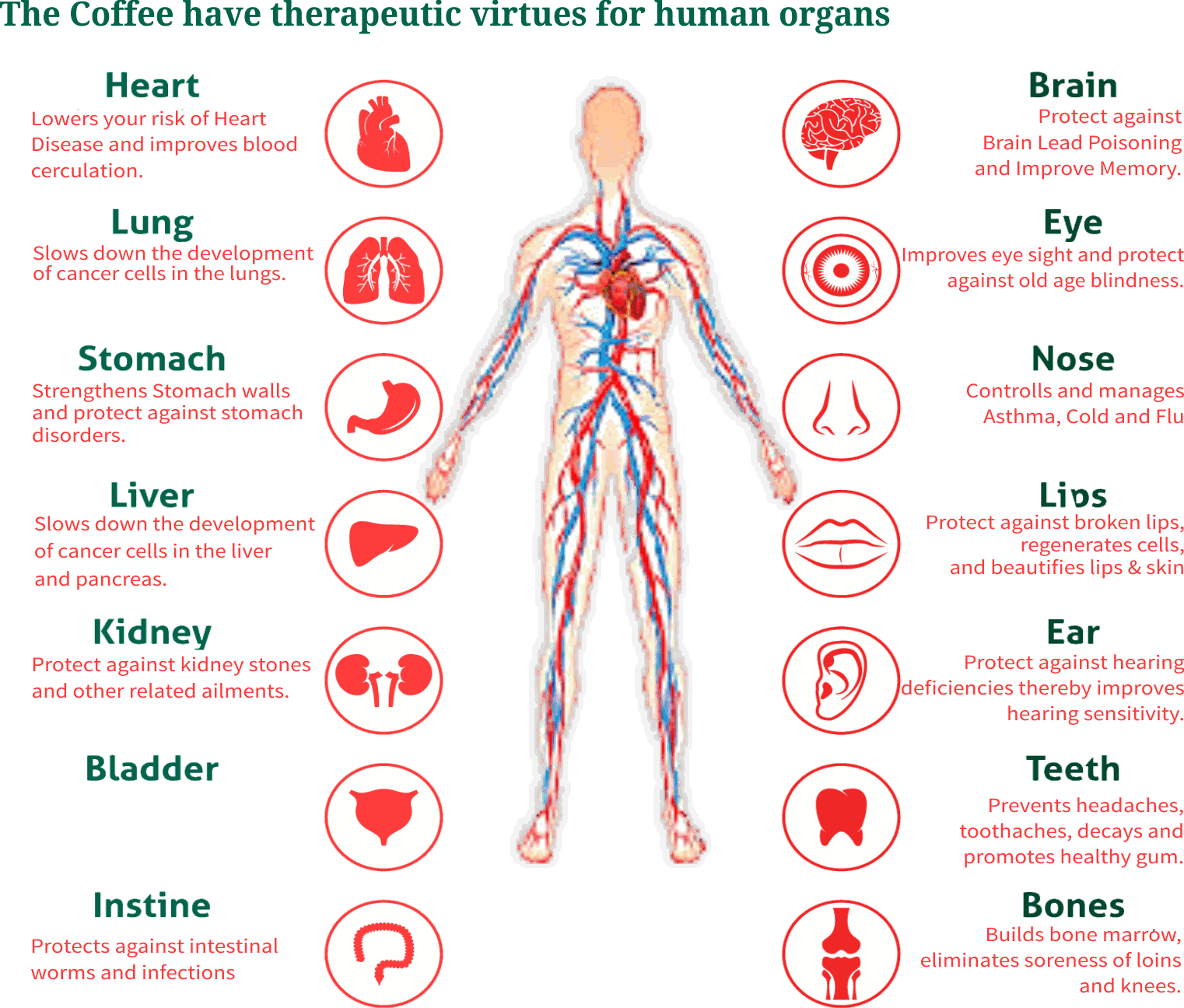 Ramdan12 Black Coffee For General Wellness image