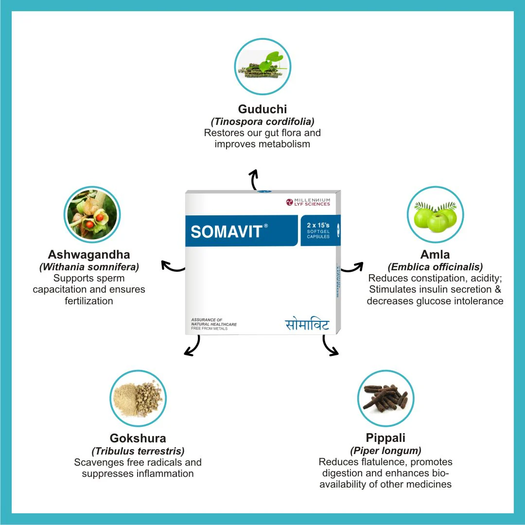 Digestive &amp; Liver Support | Heptovit, Somavit | 30 Capsules image
