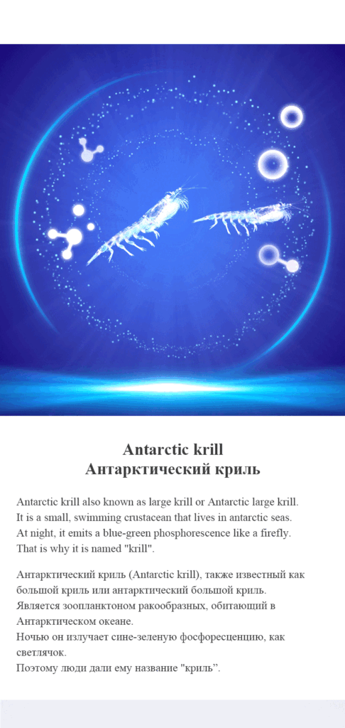MOREFUTURE Antarctic Krill Oil Softgel image