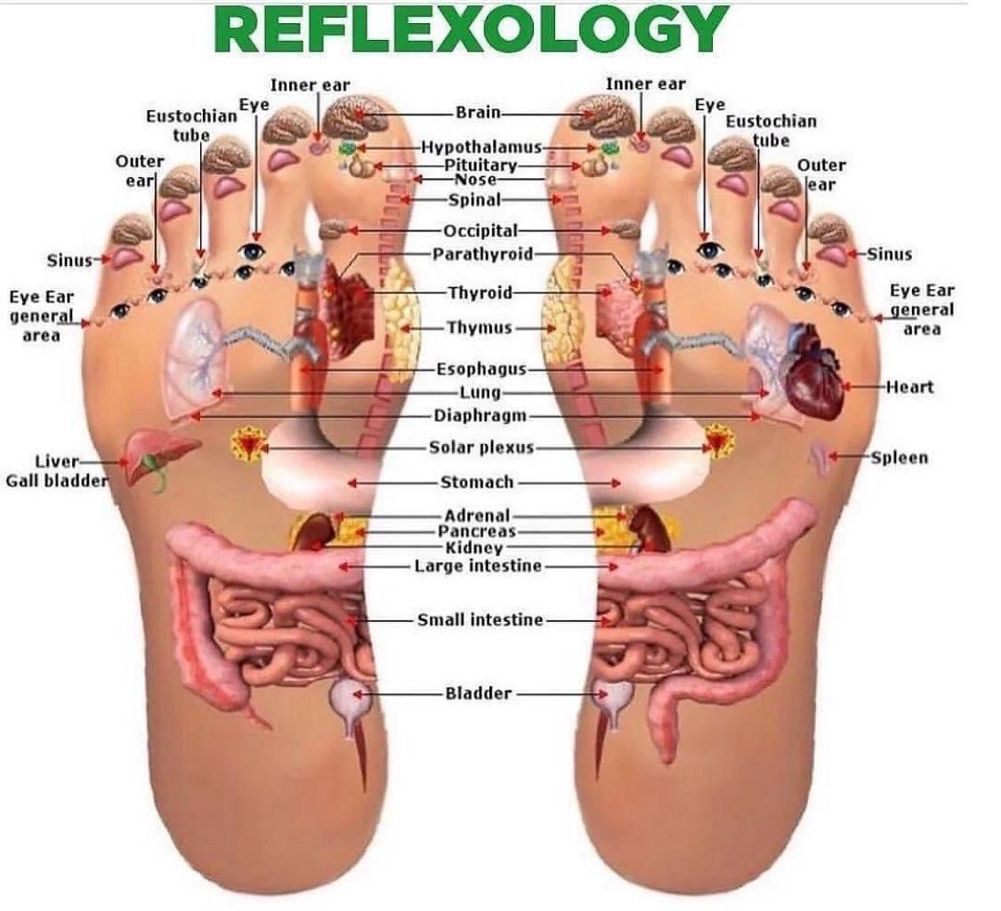 OlyLife Frequency Healing Therapy image